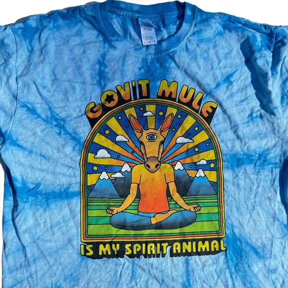 unbrand Other - gov't mule t shirt tie dye size large L rock band tee government
